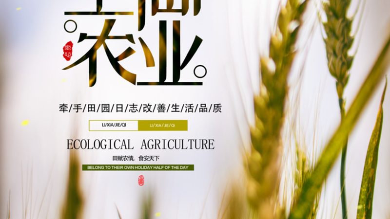 家庭农场补贴知多少？揭秘补贴政策背后的奥秘**