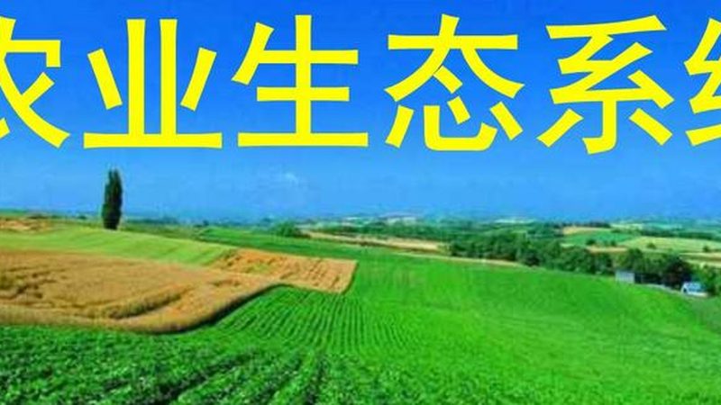 地方特色农产品代加工：从原材到产品的华丽转身**