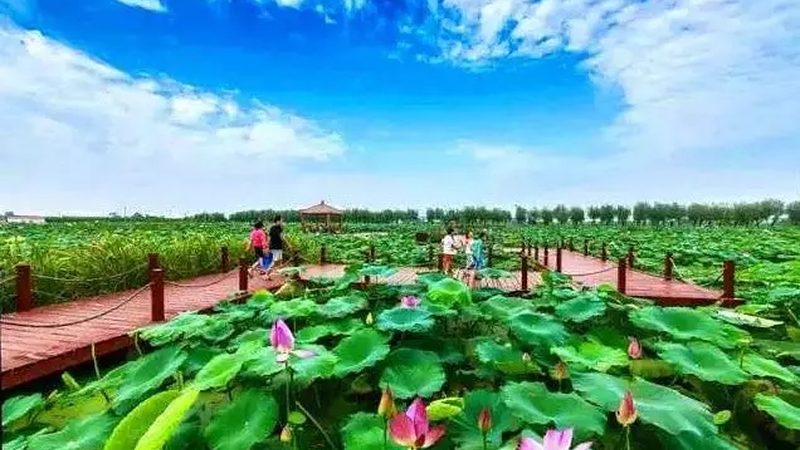 家庭农场休闲观光，如何选择合适模式？**