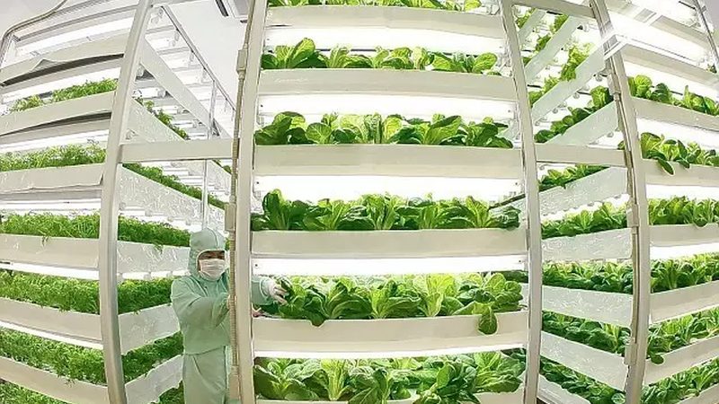 郑州农资批发市场：进货渠道的多元选择与注意事项