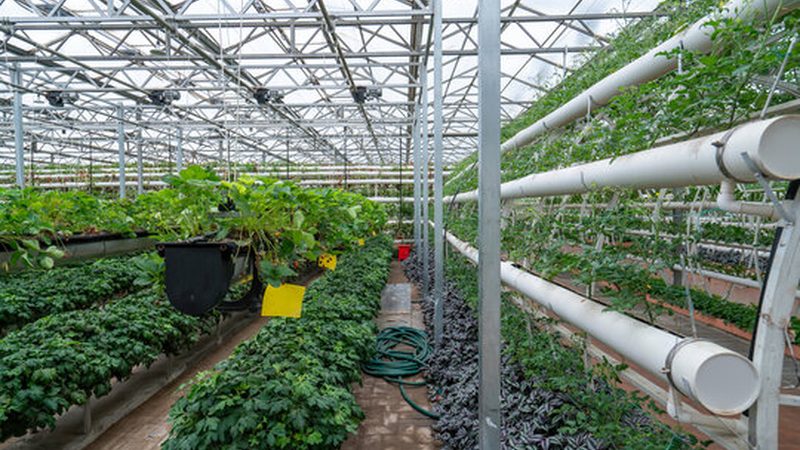 随着互联网、大数据、物联网等技术的发展，农资配送物流行业将朝着以下方向发展：