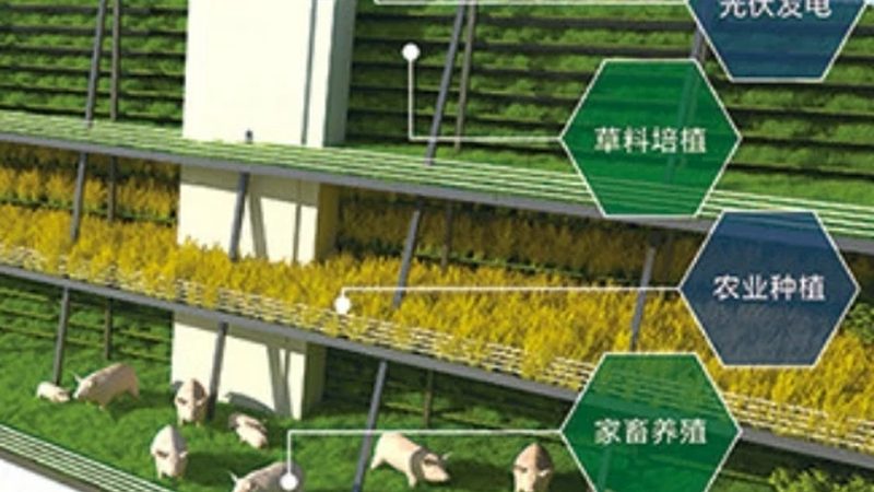家庭农场有机蔬菜种植加盟，费用构成解析**