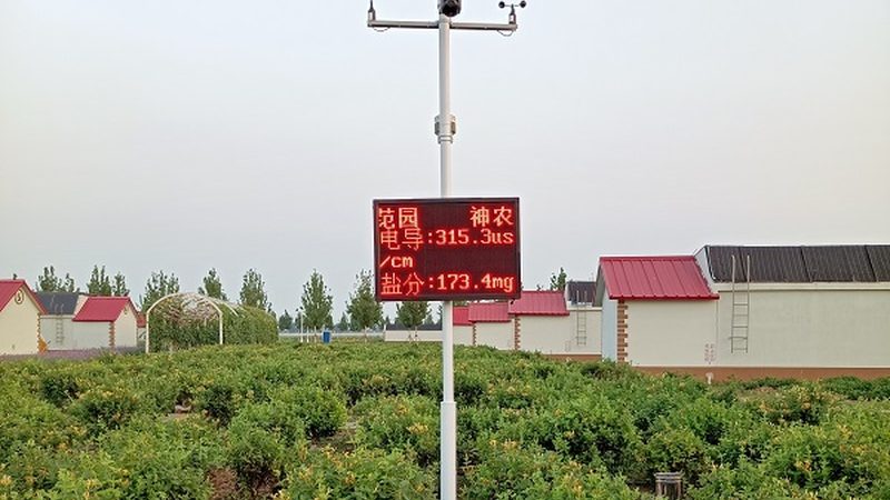 绿色食品标签真伪辨析：揭秘查询方法与技巧