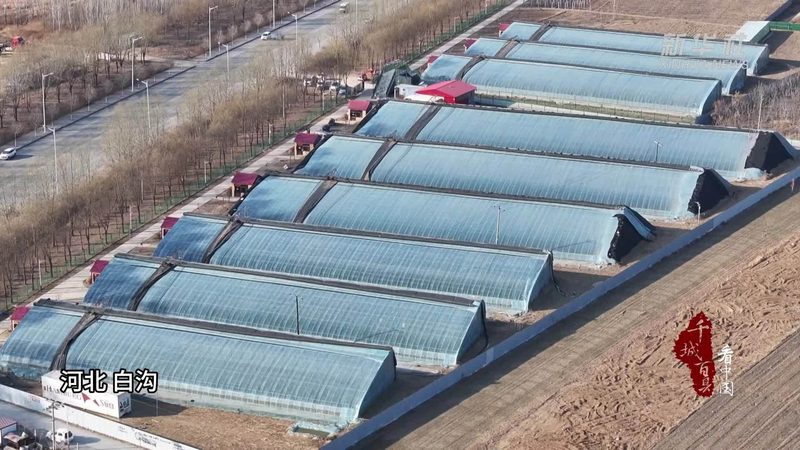 农民专业合作社注册失败，背后原因分析