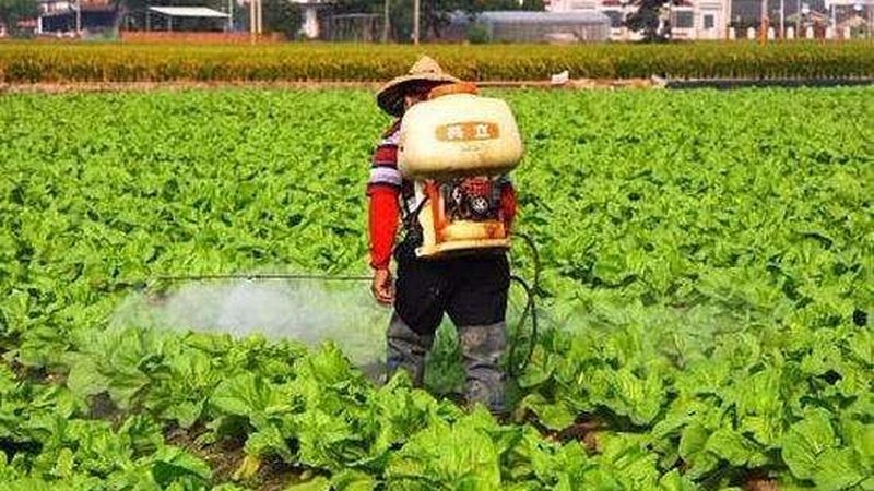 土地流转后，合作社应加强对土地的管理，防止土地撂荒。可采取以下措施：